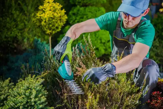 landscaping services North Syracuse